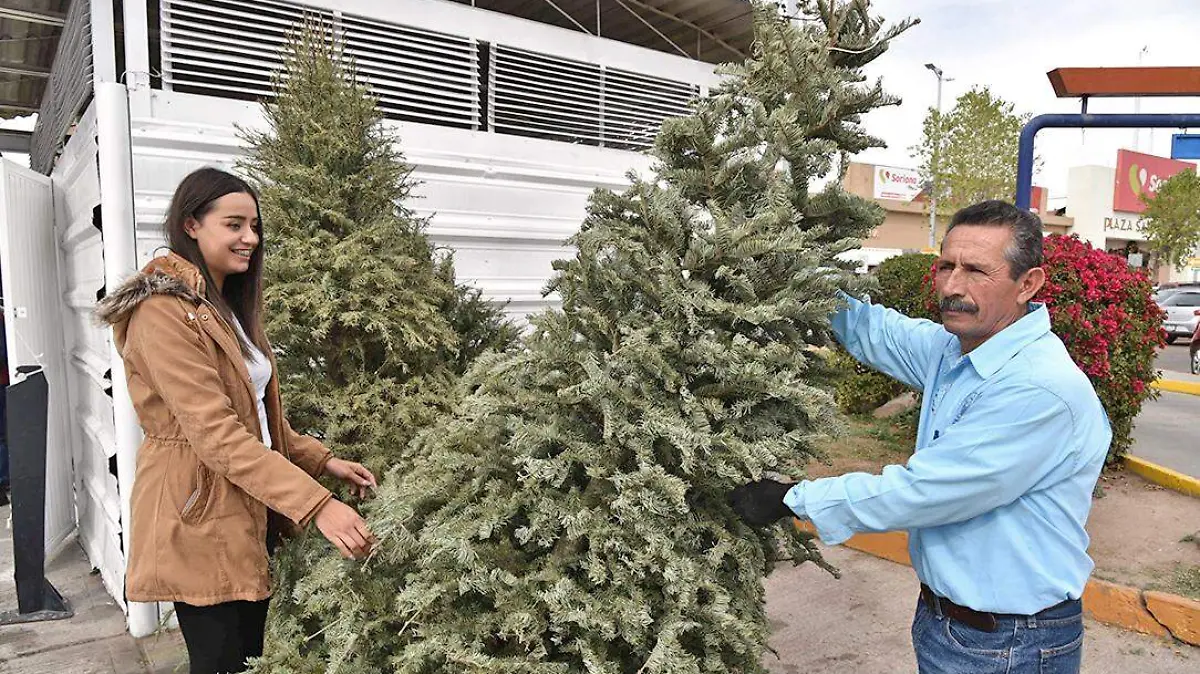 acopio arbol de navidad